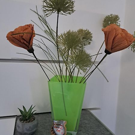 Chania Sweet Apts מראה חיצוני תמונה